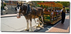 Horse-Drawn Streetcars - WaltsApartment.com